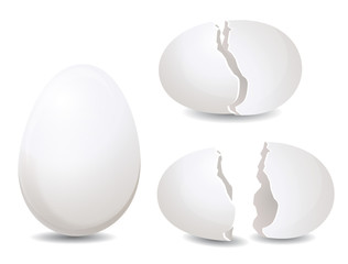 Broken Egg shell - Illustration