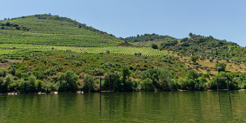 Fototapeta premium auf dem Douro, Nähe Pinhao, Portugal