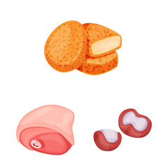 Vector illustration of meat and raw icon. Set of meat and grilled vector icon for stock.
