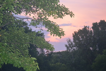 landscape with lake and trees