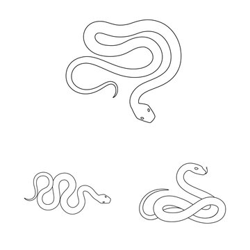 Isolated object of poison and evil sign. Collection of poison and bite stock vector illustration.