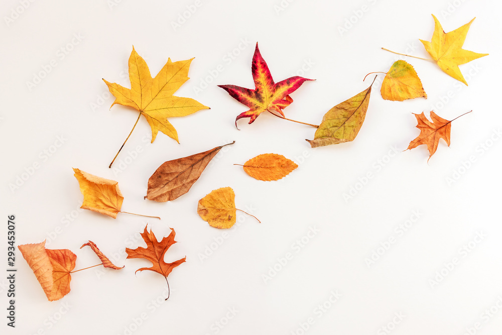 Wall mural autumnal yellow leaves on white background, flat lay, copy space