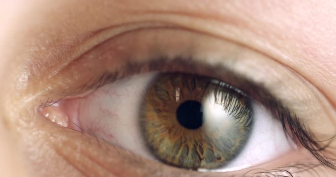 Extreme close up of Human Iris Eye. Female dilating Pupil with a green, yellow, blue and brown colour pigmentation. Women's Beautiful eye blink with long lashes