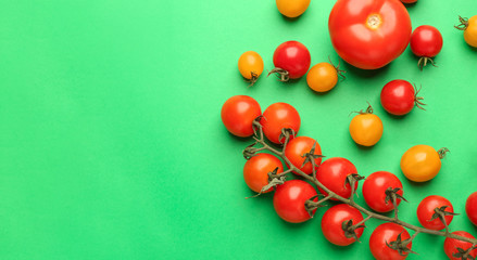 Different fresh tomatoes on color background