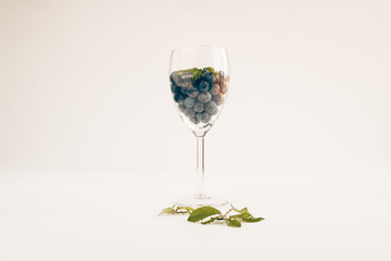 Glass with fruits of the forest: blackthorn (prunus spinosa)