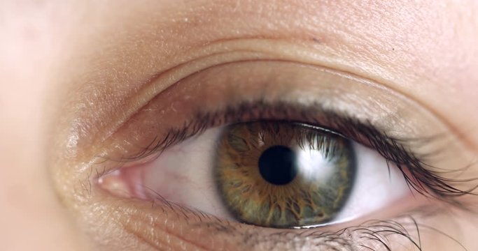 Extreme close up of Human Iris Eye Blink. Female dilating Pupil with a green, yellow, blue and brown colourful pigmentation.