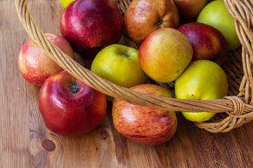 Red, green and yellow apples rolled out of a wicker basket onto a brown wooden surface, top side view