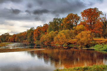 Fototapeta premium Orange autumn trees on riverbank. Golden Autumn Landscape