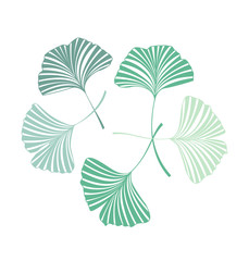 Background with Ginkgo biloba leaves