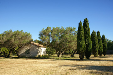 Paysage Campagne 539