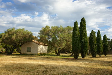 paysage Campagne 538