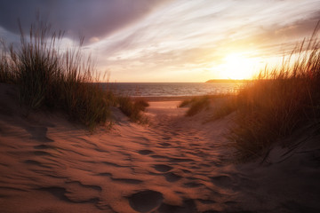Golden sunset on the sea shore and footprints in the sand. Beautiful sand dunes.