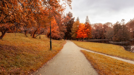 Obraz premium Red, yellow and green foliage.The footpath in the colorful autumn park. Fall landscape