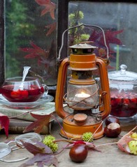 hot tea with rose hips, autumn, rain	
