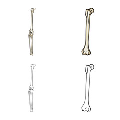 Vector design of medicine and clinic symbol. Set of medicine and medical stock vector illustration.