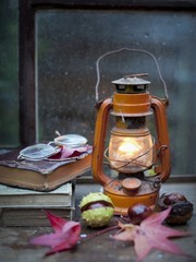 hot tea with rose hips, autumn, rain	