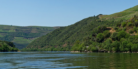 Fototapeta na wymiar auf dem Douro, Nähe Pinhao, Portugal