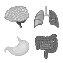 Vector illustration of internal and medical icon. Collection of internal and health stock vector illustration.