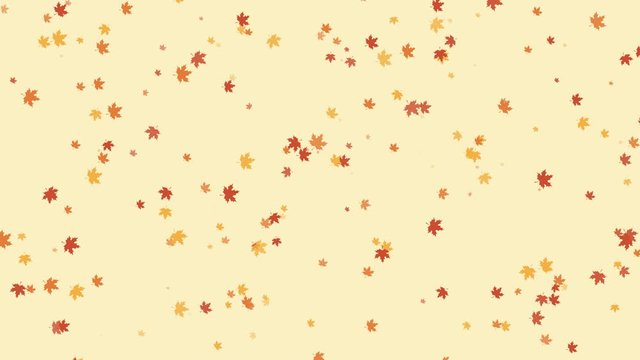 Maple leaves swirl in the wind. Autumn animated background. 4K. Alpha channel. Looped video.