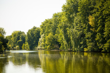 Beautiful nature on a bright sunny day