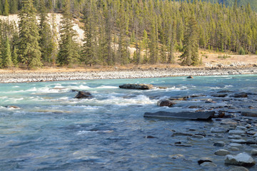 Fototapeta na wymiar Turquoise River current in wilderness park