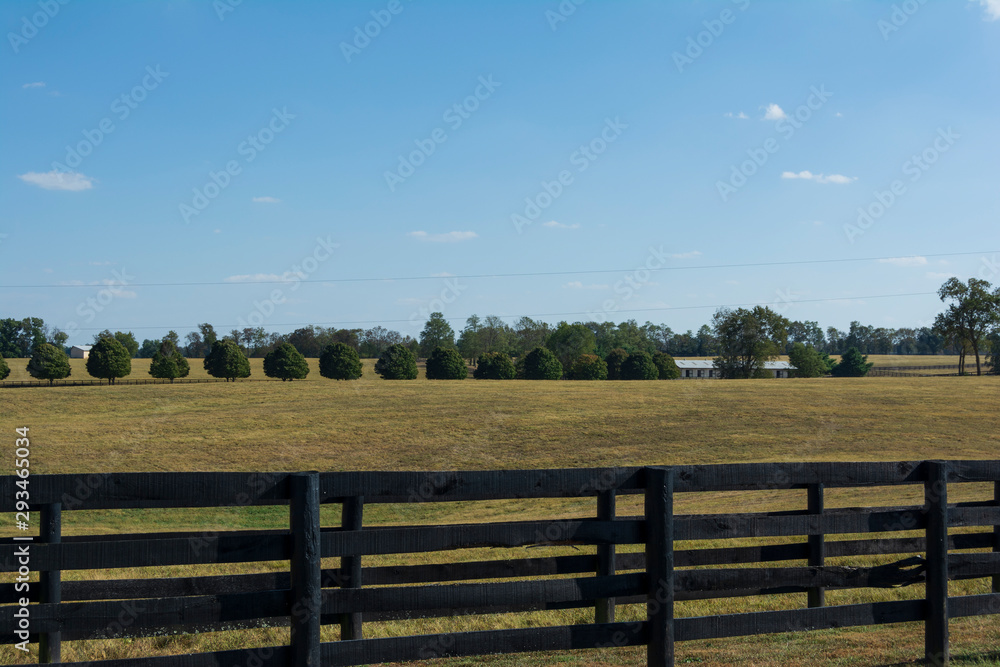 Wall mural Landscape