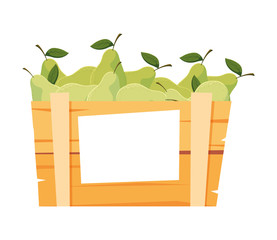 Isolated pears box fruit vector design