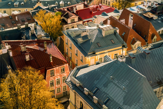 View of houses in the old city seen from the St Olaf's church tower, Tallinn, Estonia