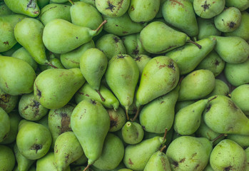 Full frame photography of freshly picked green pears