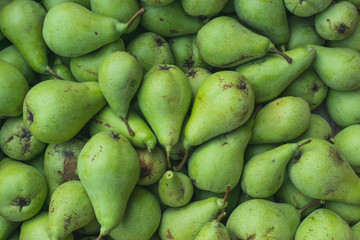 Full frame photography of freshly picked green pears