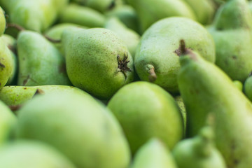 Selective focus and full frame photography of freshly picked green pears