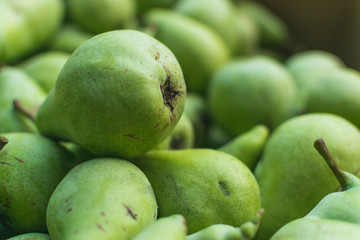 Selective focus and full frame photography of freshly picked green pears
