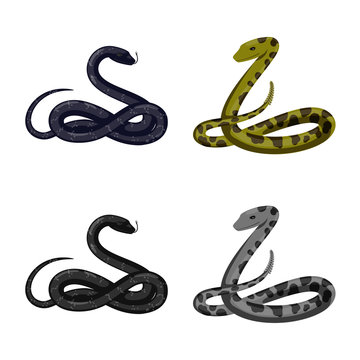 Vector design of mammal and danger logo. Collection of mammal and medicine vector icon for stock.
