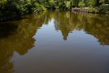 Lake and nature landscape in the forest.