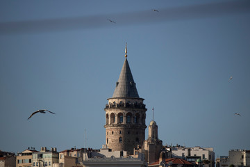 Obraz premium Close shot of Galata tower. Flying seagulls and blue sky.