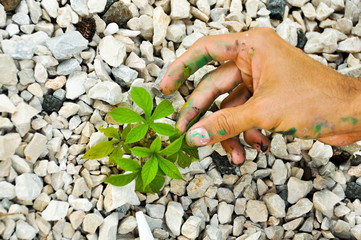 Painted hand touching real green plant