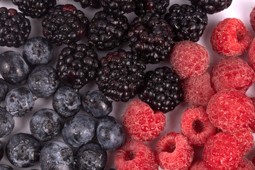 Top view on composition of red, blue and black splattered with water berries