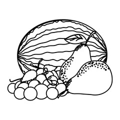 Isolated tropical fruits set vector design