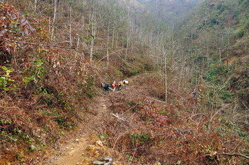 Trekking on the KiQuanSan mountain, Vietnam