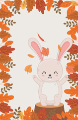 cute animal foliage hello autumn