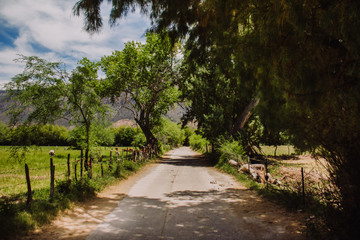 Naturaleza