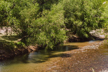 Naturaleza
