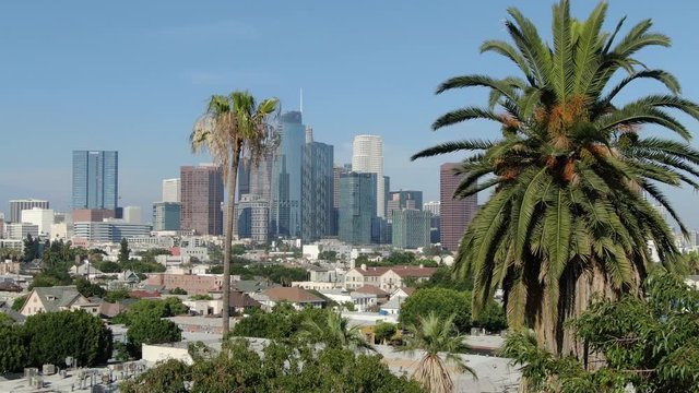 Los Angeles Downtown Aerial Establish Shot Pico Union Palm Trees Forward Elevate