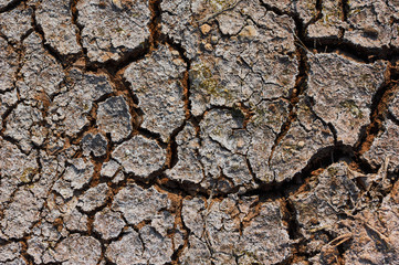 The image of dry and cracked ground that reminds of global warming