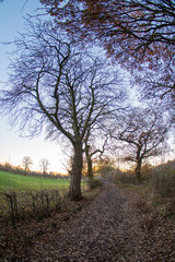 Autumn colours with the snset in United Kingdom, Cheshire