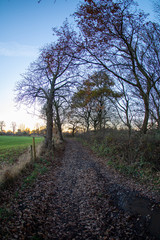 Obraz premium Autumn colours with the snset in United Kingdom, Cheshire