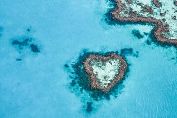 Great Barrier Reef / Whitsundays