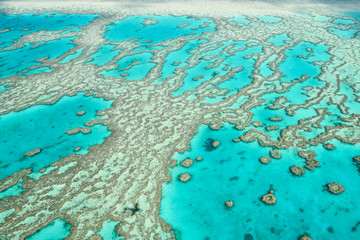 Great Barrier Reef / Whitsundays