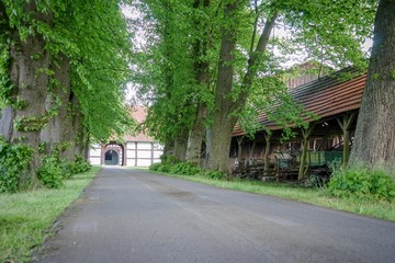 Artländischer Bauernhof mit Hofeinfahrt und alter Baumallee