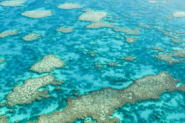 Great Barrier Reef / Whitsundays